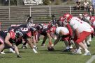 GFL2 Nord: Düsseldorf vs Lübeck16:10 31.08.2024